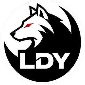 LDY
